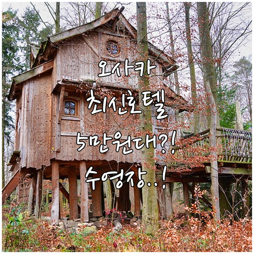 2024 2025 오사카 신상 호텔 ..
