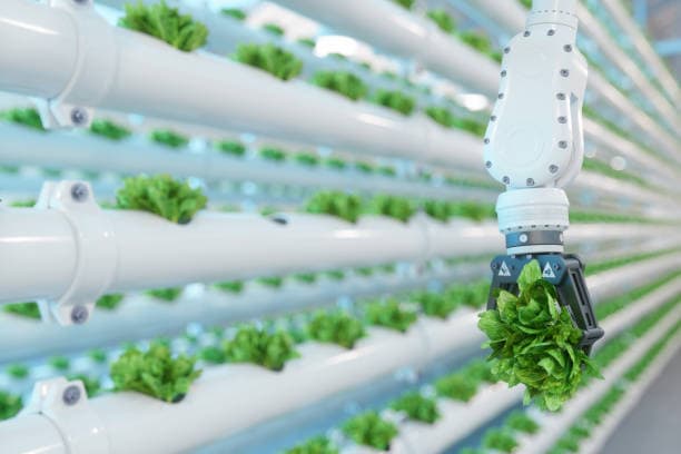 자동화 농업 기술이 도시를 어떻게 변화시키는가(Automated Agriculture Transforming Cities)