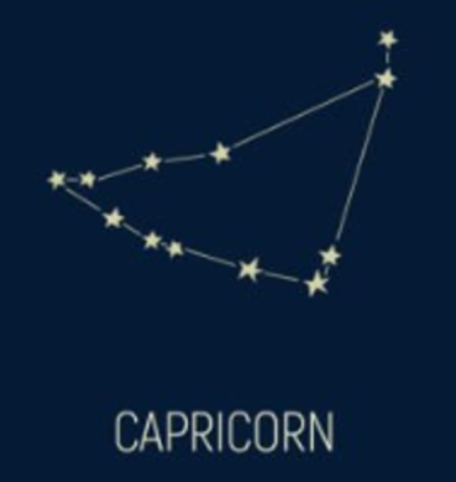 염소자리 별자리 - 염소자리 성격, 특징, 연애 상대