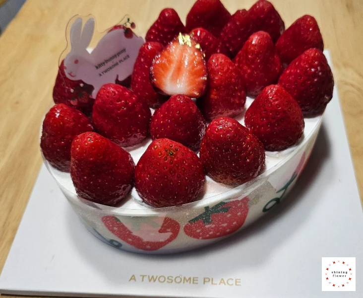 생딸기 듬뿍 우유 생크림 케이크