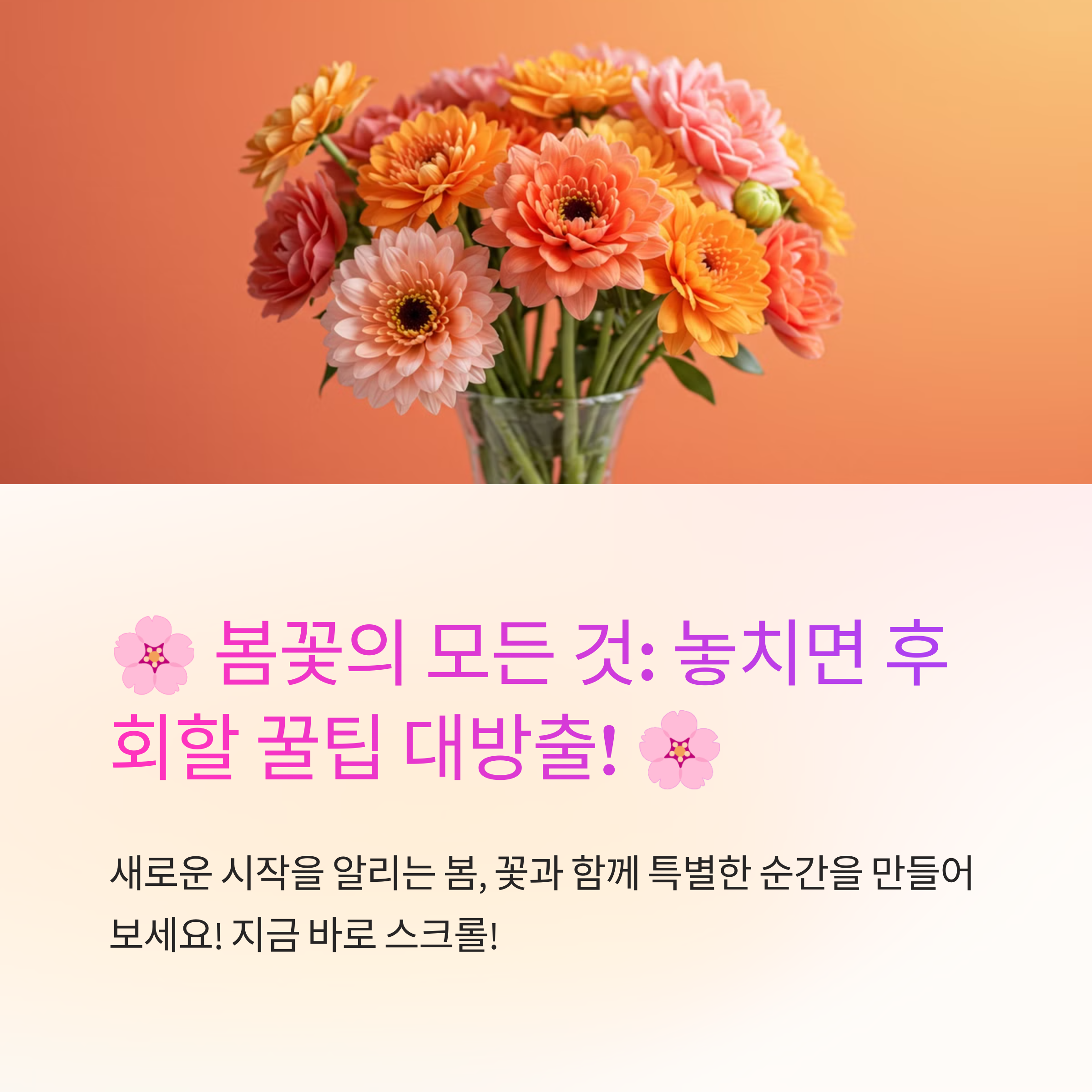 봄꽃의 상징과 의미