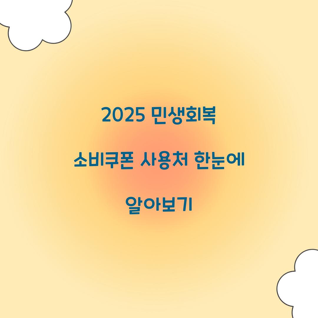 2025 민생회복 소비쿠폰 사용처