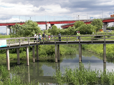 방화습지생태공원 이미지