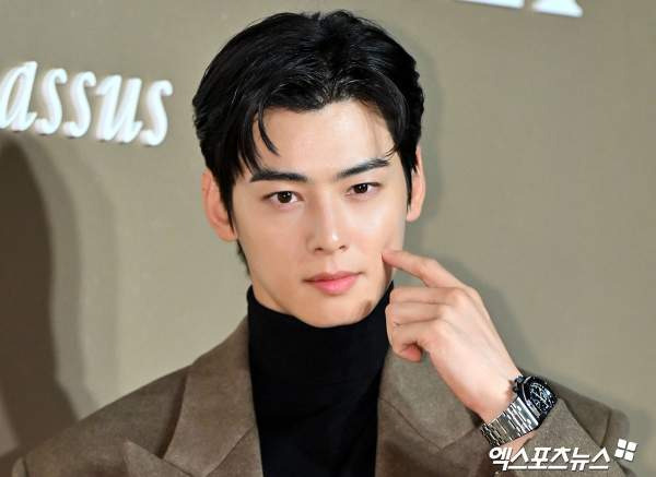 차은우 130억 추징금 폭탄 터진 진짜 이유, 경기 강화도 1인 기획사 편법 감면 논란과 국세청 세무조사 핵심 총정리