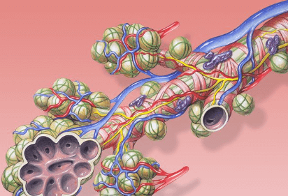 혈액순환장애 증상