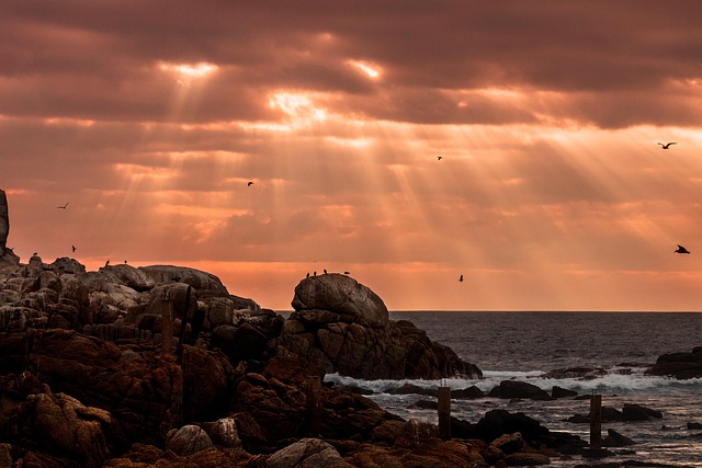 비냐 델 마르 썬셋