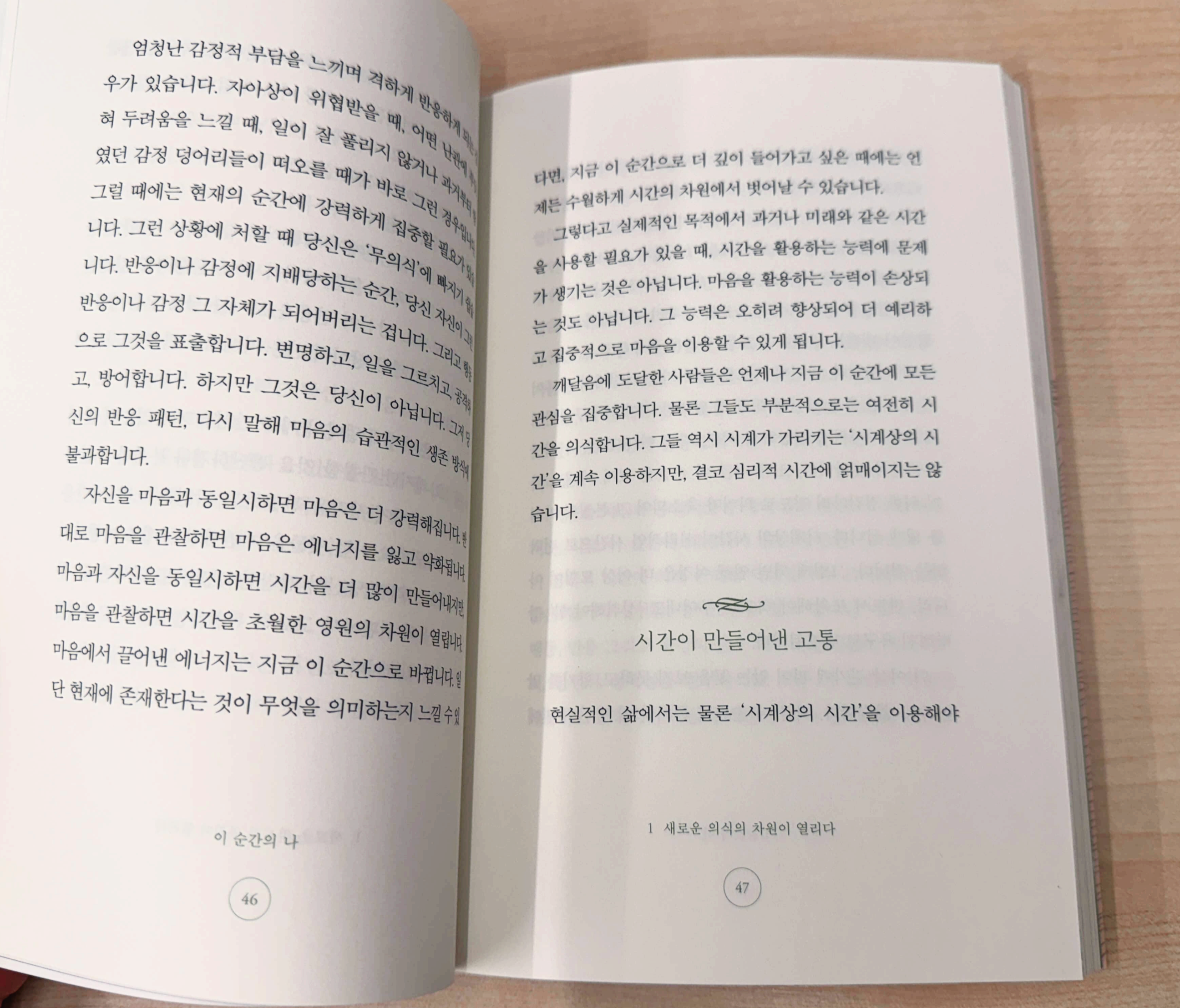 에크하르트 톨레 이 순간의 나