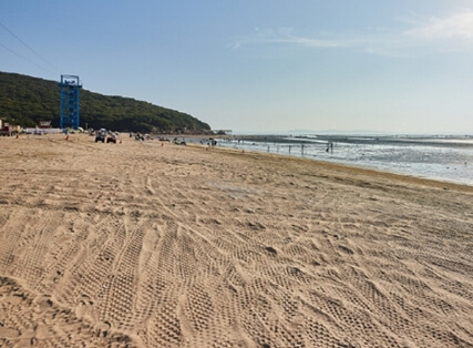 서해 해수욕장 개장일, 폐장일