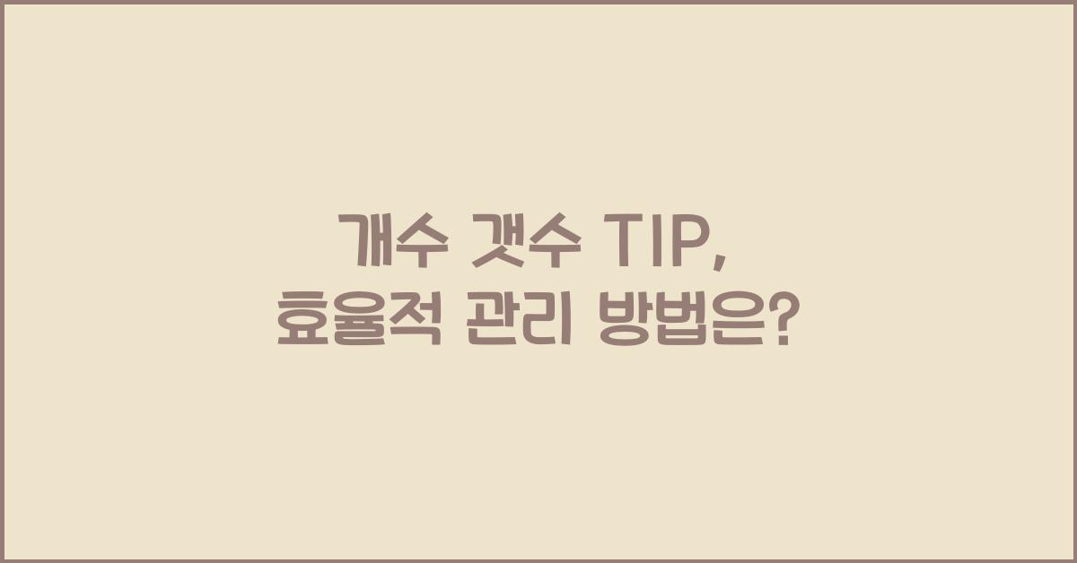 개수 갯수 TIP