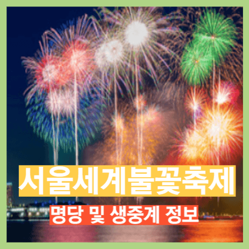 세계불꽃축제 명당 및 생중계 정보