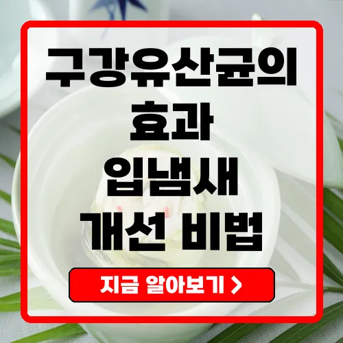 구강유산균의 효능과 2025년 제품 트렌드 완벽 이해