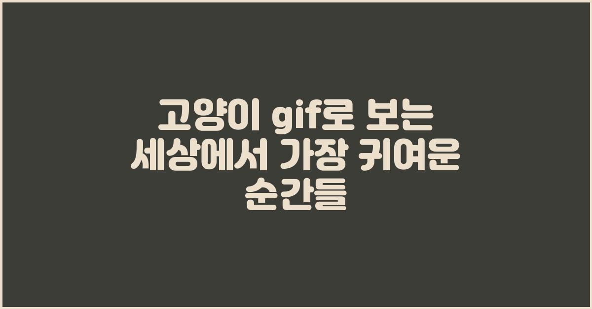 고양이 gif
