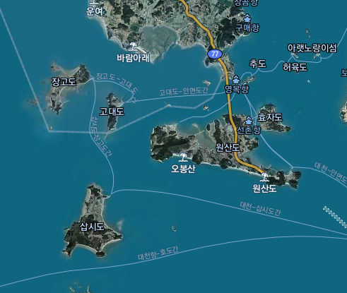 원산도와 주변지도 / 카카오맵