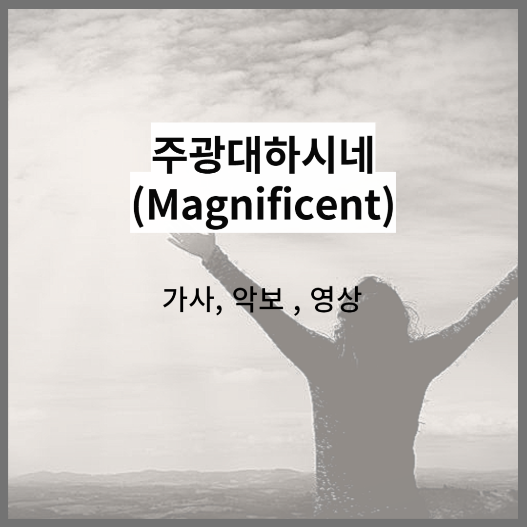 주광대하시네(Magnificent)