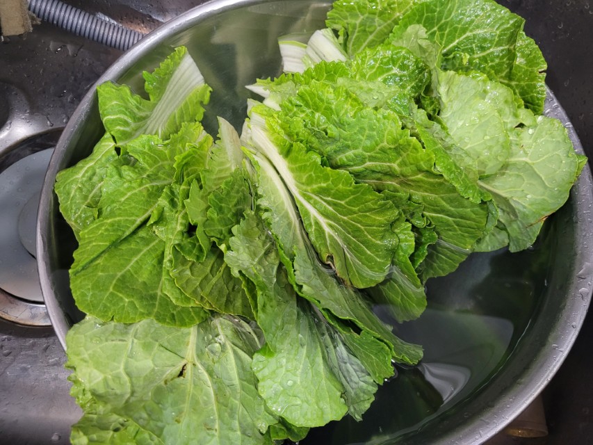 깨끗하게 씻은 봄동 물기 제거 상태