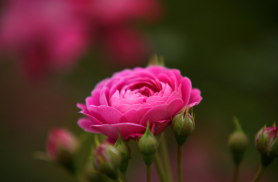 화담숲-예약하기