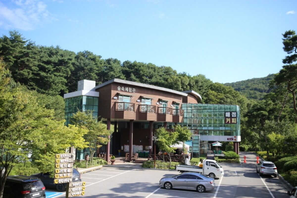 숲속체험관 사진