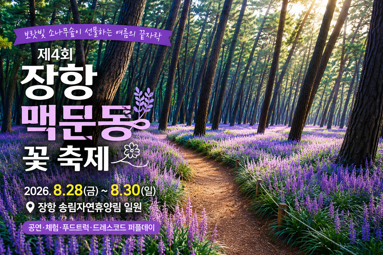 [2026 장항 맥문동 꽃 축제] 보랏빛 소나무숲 개화시기&middot;초대가수&middot;주차 꿀팁 총정리