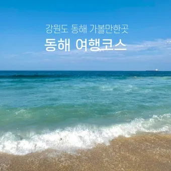 동해 가볼만한곳 맛집 추천 카페 봄 베스트 10_6