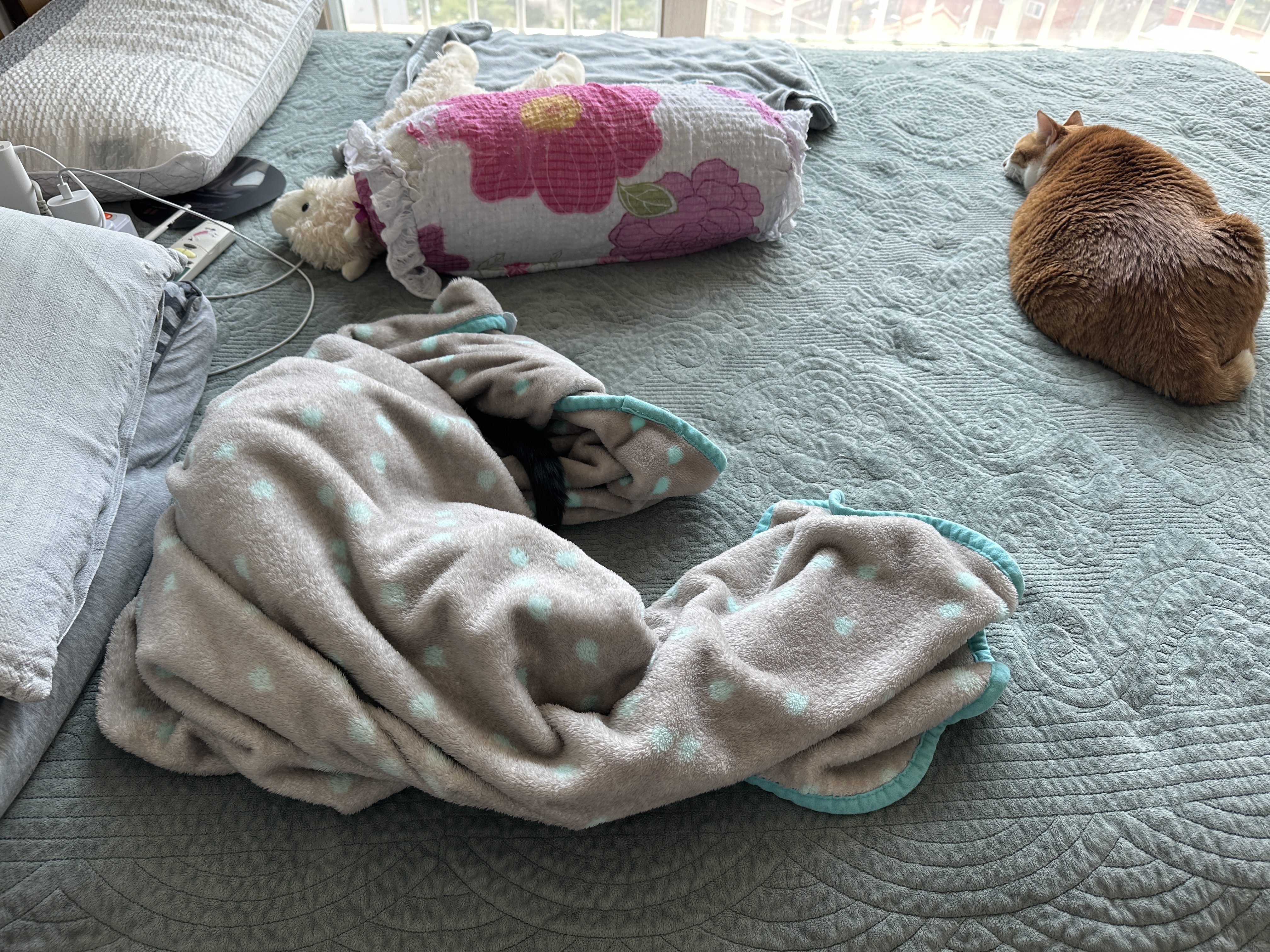 담요_아래에_숨어_있는_건이