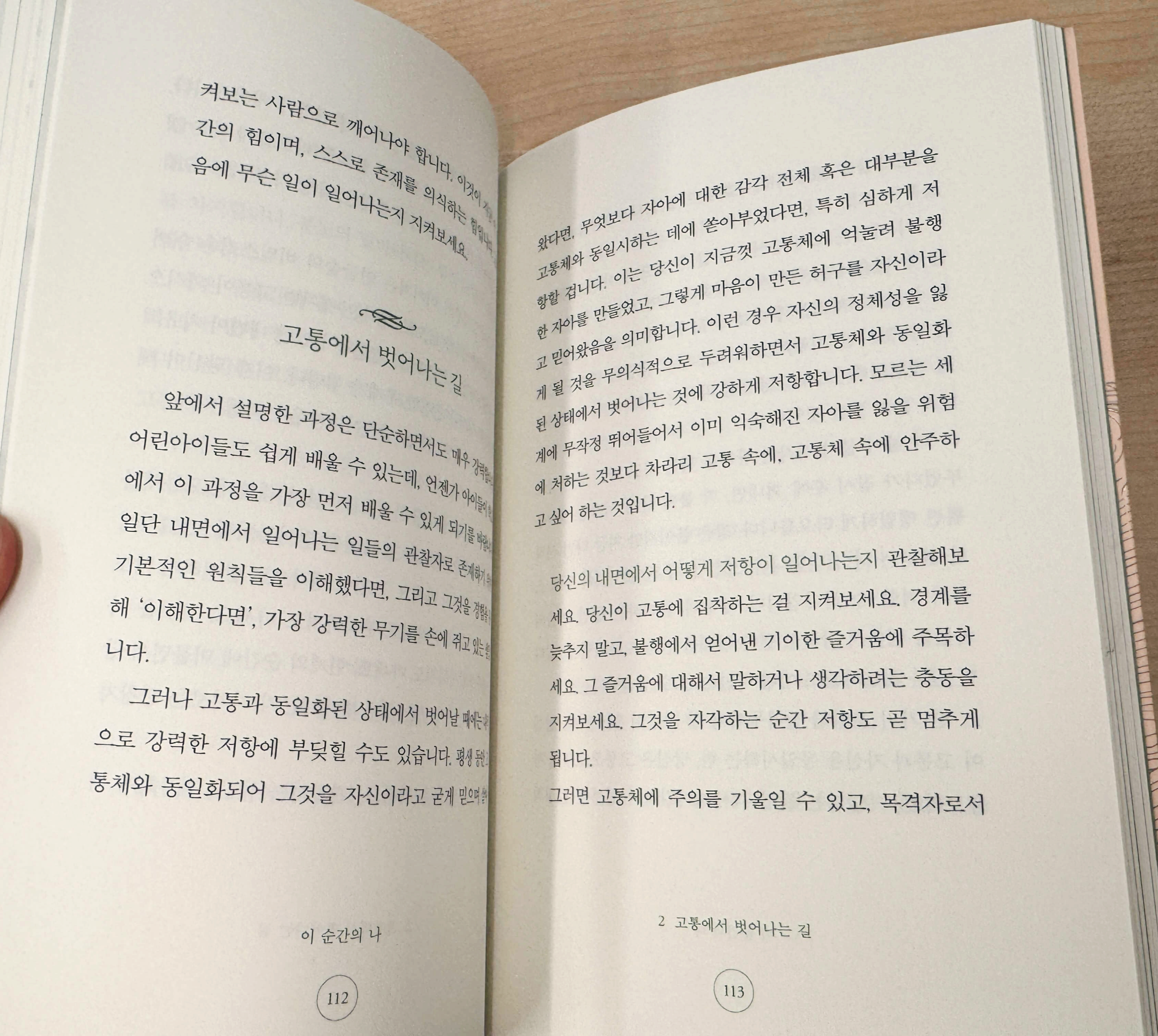 에크하르트 톨레 이 순간의 나