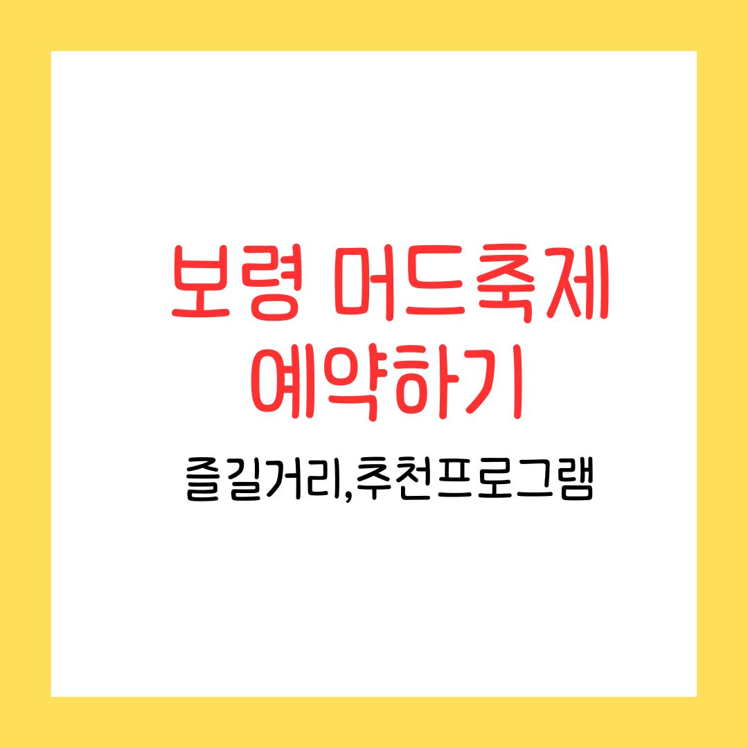 보령머드축제 예약하기 추천 프로그램