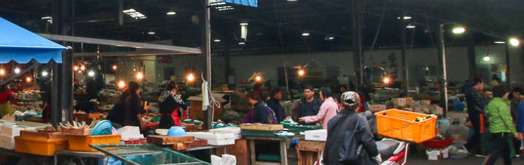 중문향토오일시장 생선거리