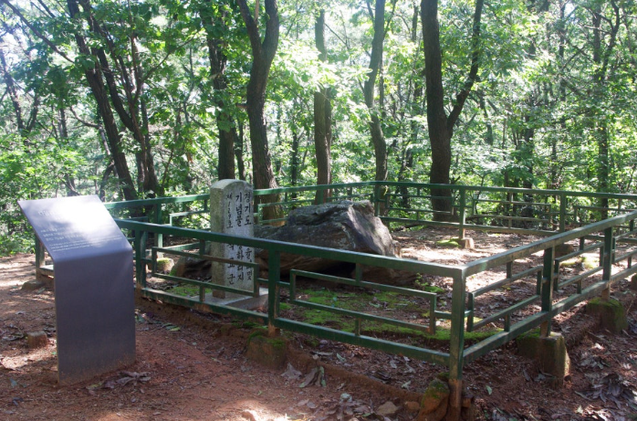 고인돌 산림욕장