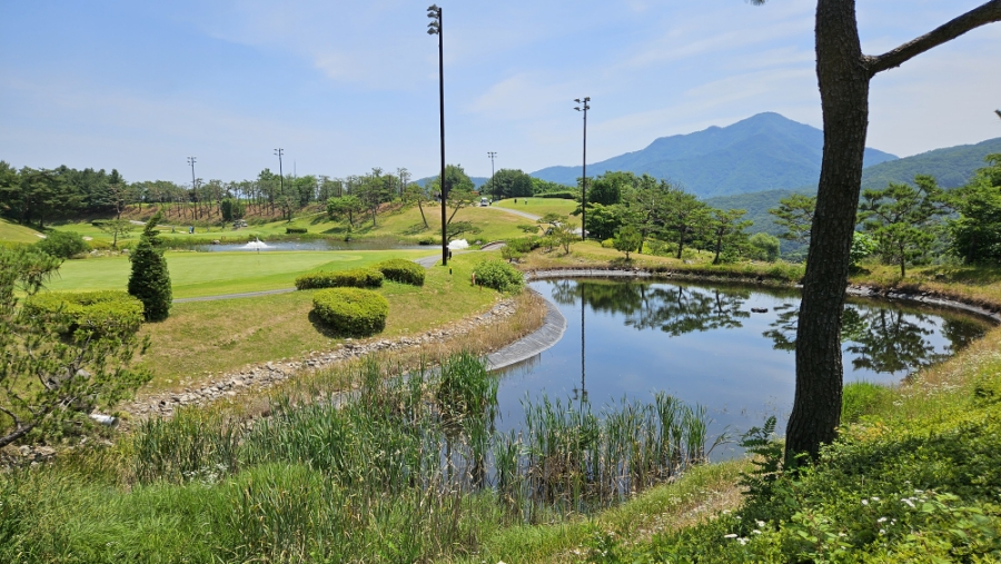 골프장 경험담 충주 스타cc 충북의 프리미엄 라운딩 명소