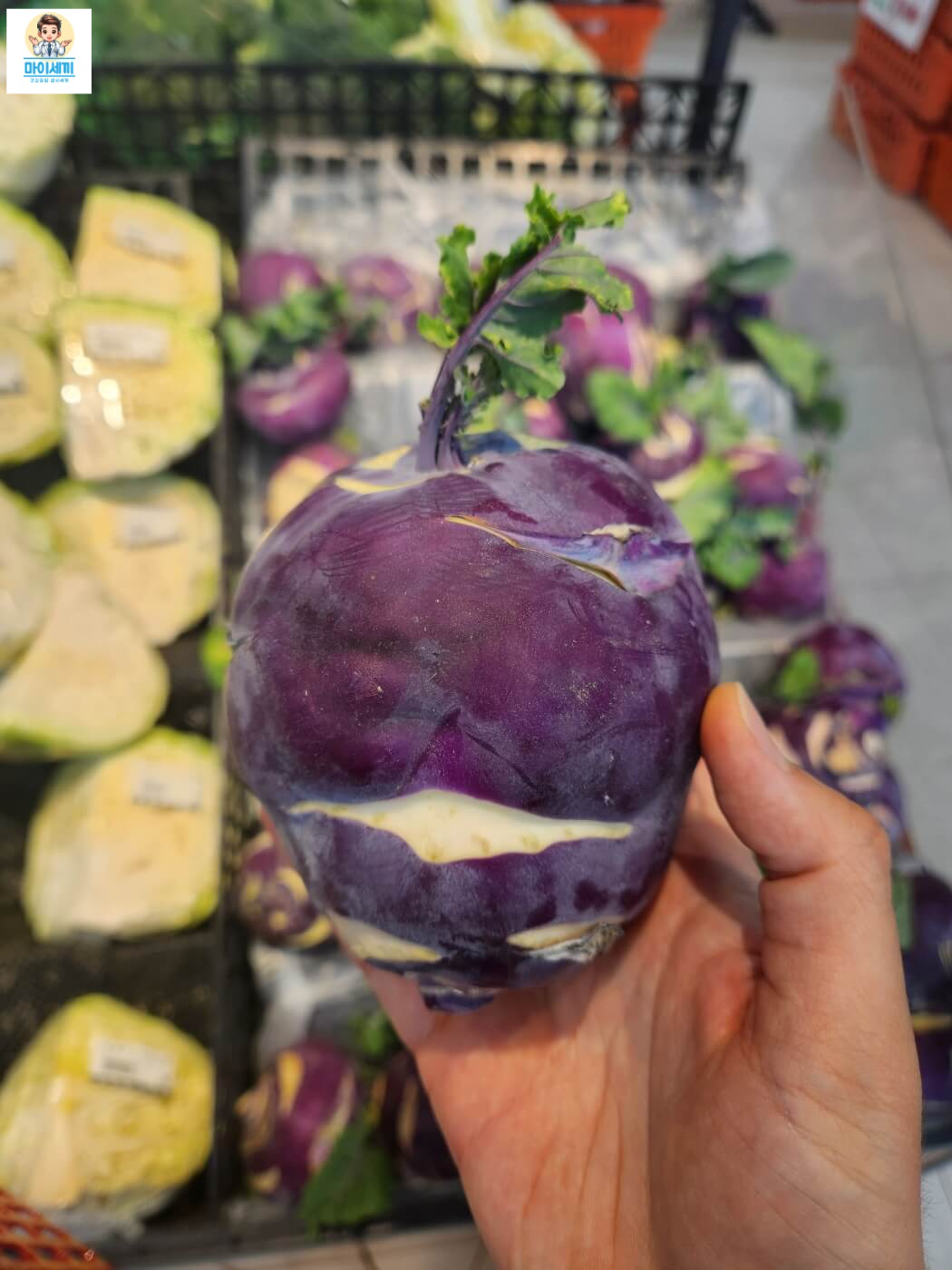 친환경 재배