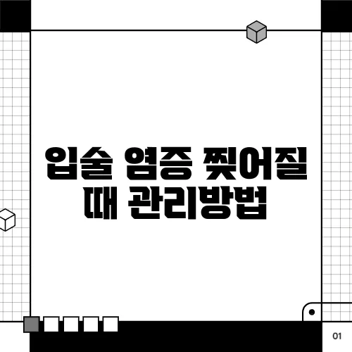 입술 염증 찢어질 때 관리방법