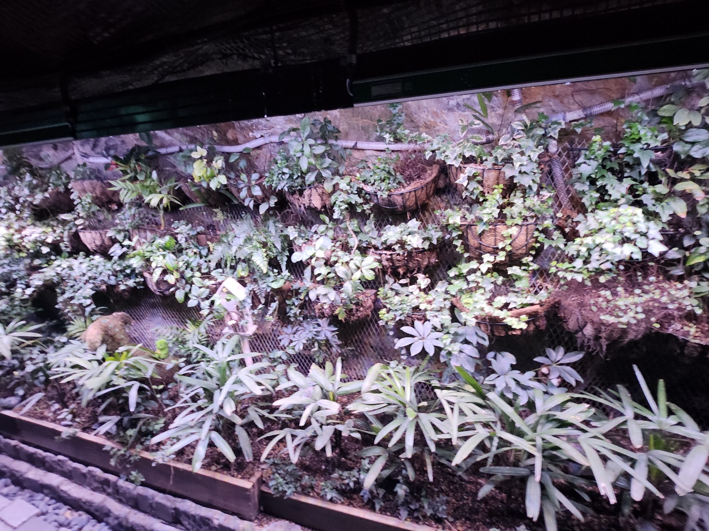 광명동굴 식물원