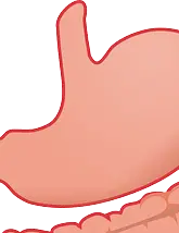 장이 부었을 때 증상, 원인, 해결방법까지! 지금 바로 확인하세요.