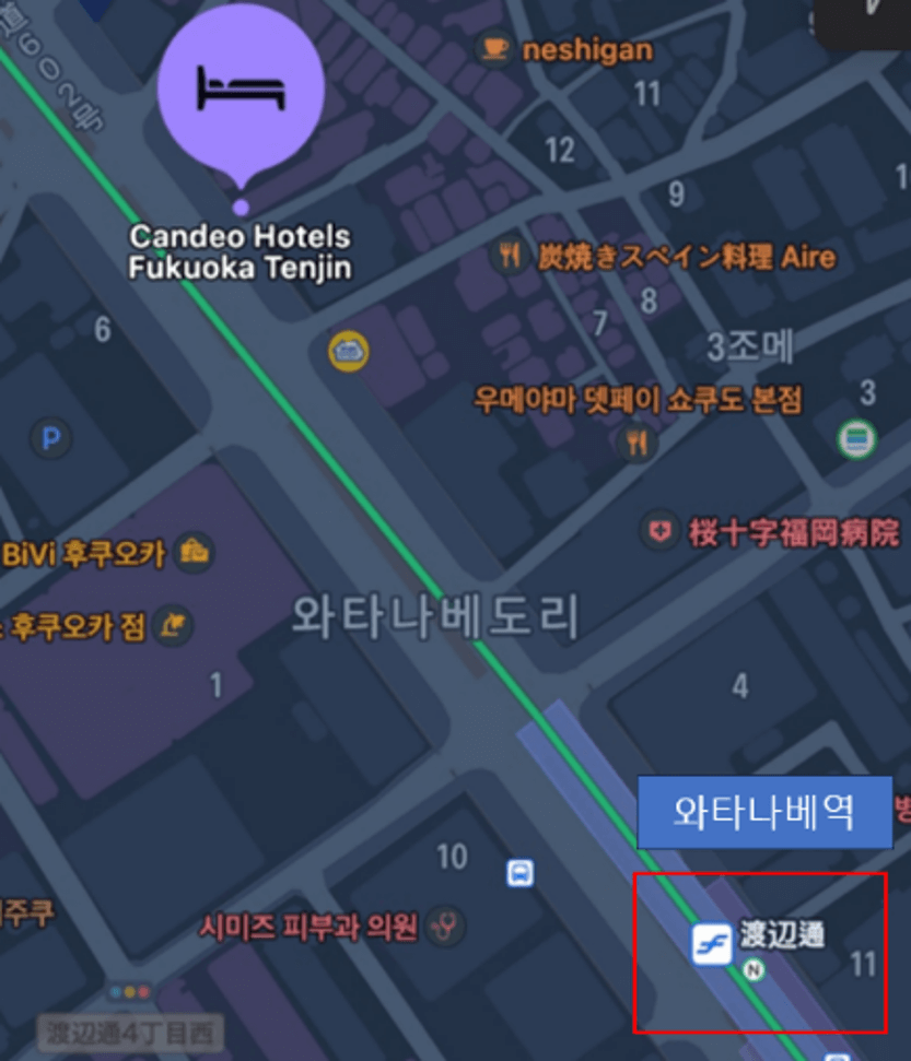 호텔 위치