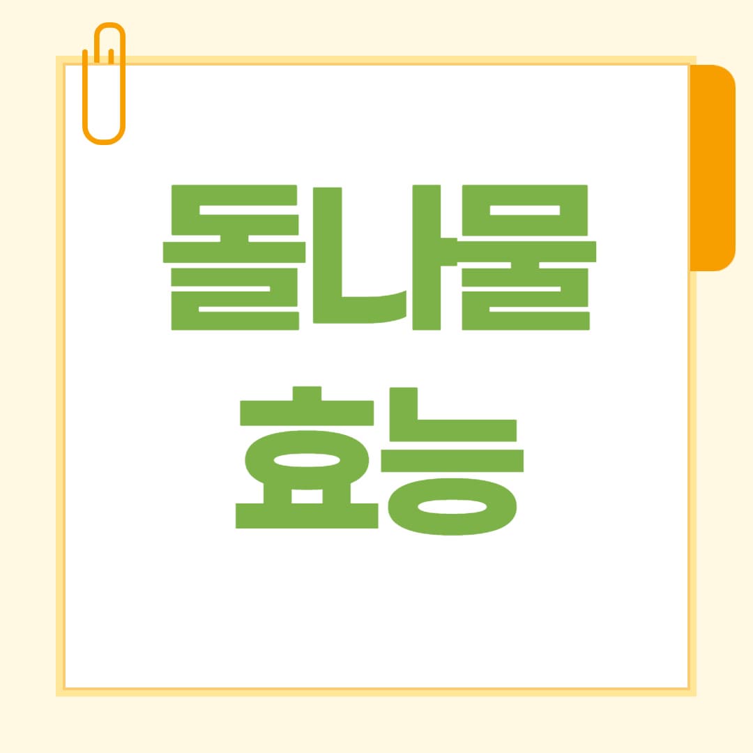 돌나물 효능 총정리 봄철 입맛 살리는 슈퍼푸드의 비밀