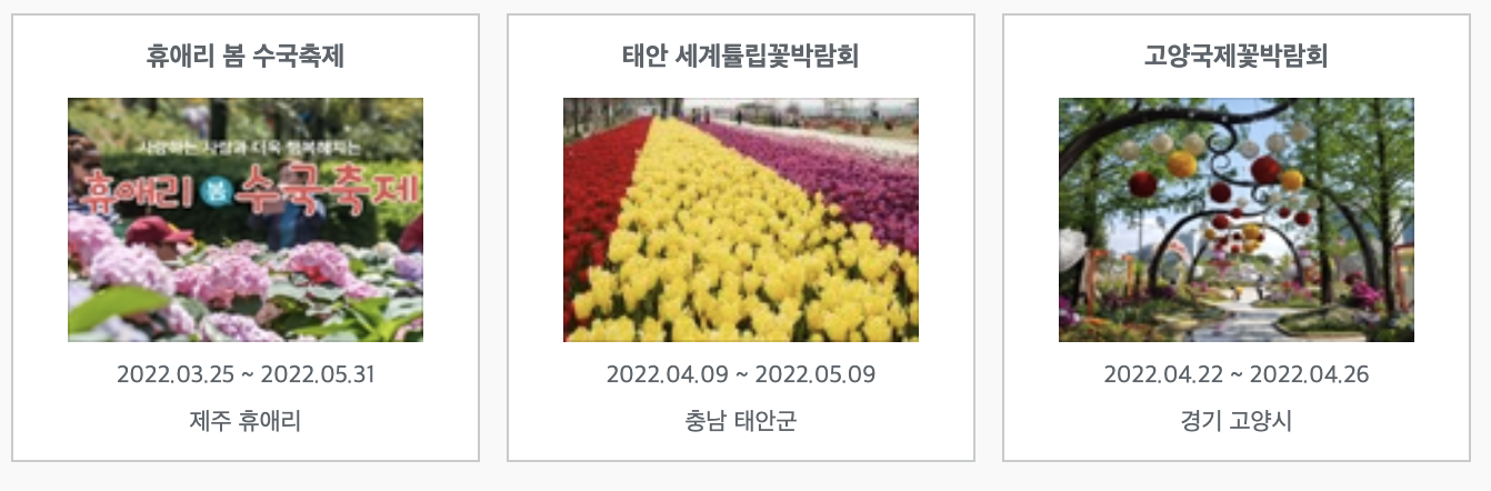 벚꽃축제