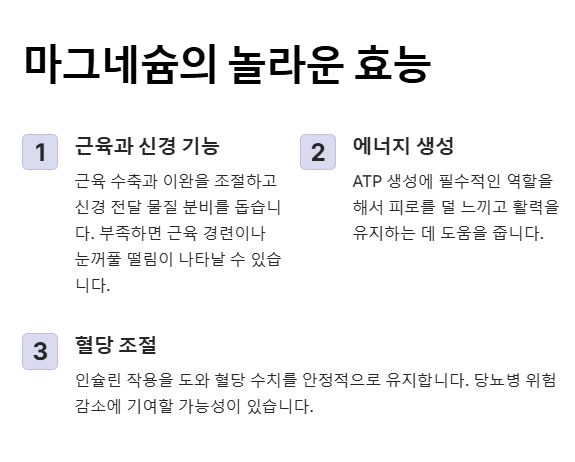 마그네슘 주요 효능