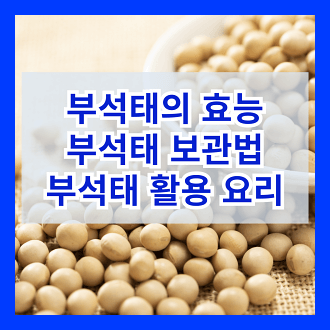 부석태 콩의 효능 부석태 보관법 부석태를 활용한 요리 방법