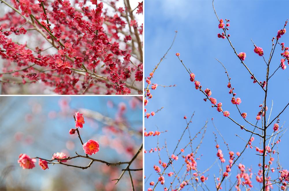 4월 국내여행지