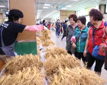 금산 인삼축제_20