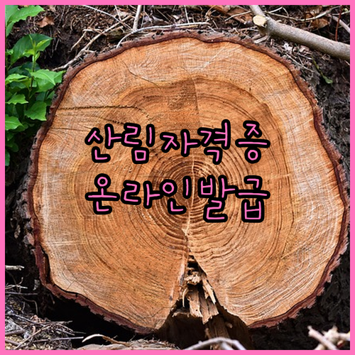 산림기술자격증 2025 온라인 발급:..