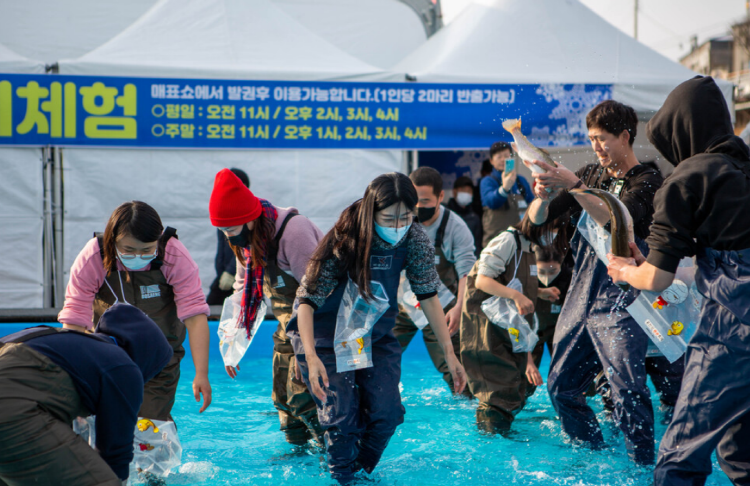 홍천강 꽁꽁축제