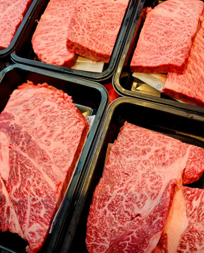 생방송투데이 집중탐구 한우이야기 맛집 알아보기