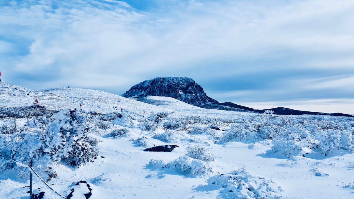 크리스마스 여행지 제주도