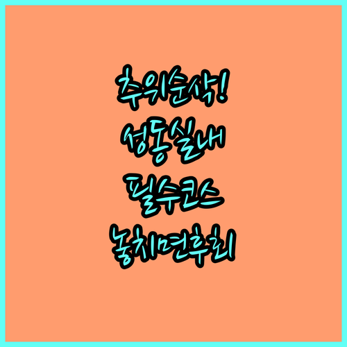 성동구 겨울 실내 데이트 명소 5곳 ..