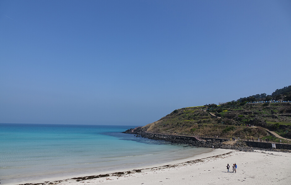 제주 반려견 겨울 나들이 명소, 강아지와 함께 걷기 좋은 산책 코스