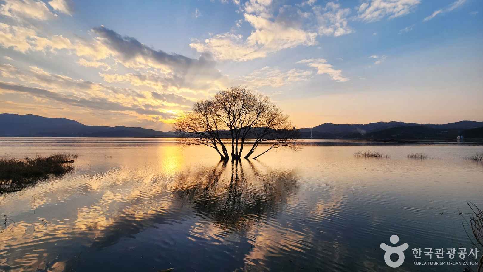 예산 예당저수지