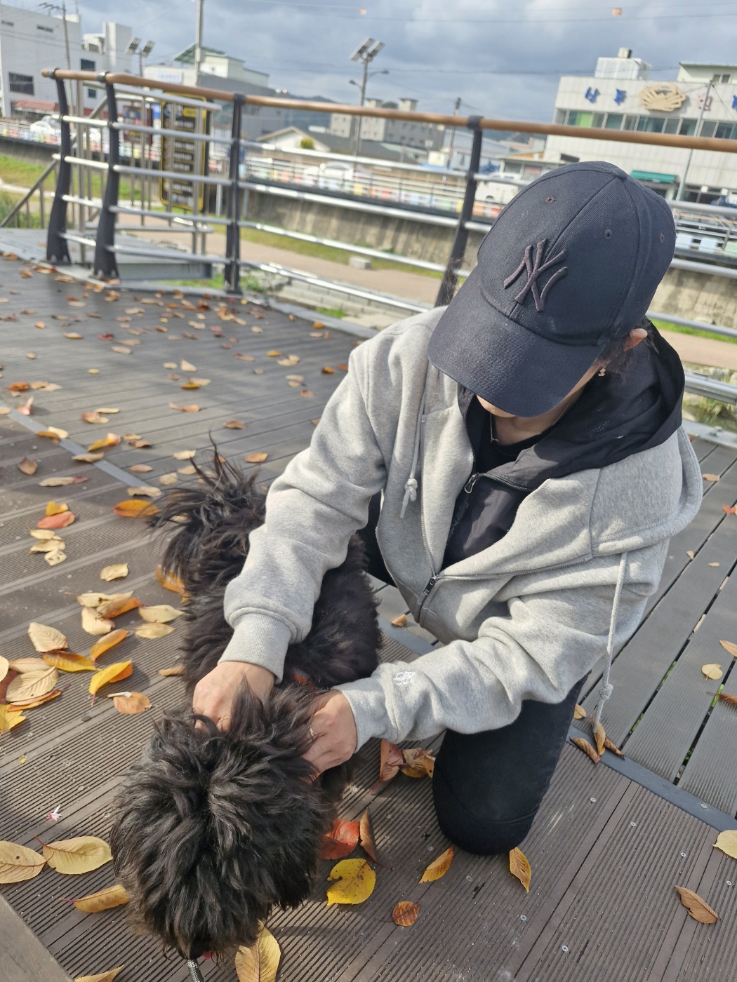 강아지 침대,쇼파에서 땅파기행동하는 진짜이유 7가지