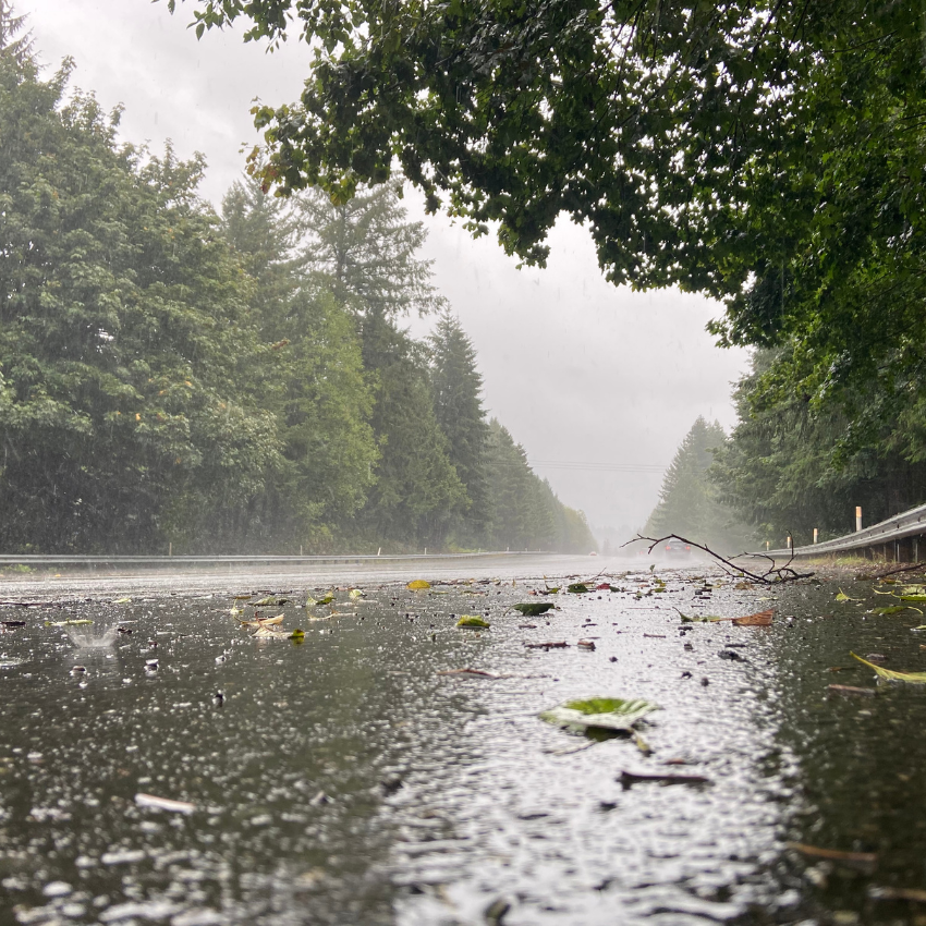 2024년 장마 기간 예측_2