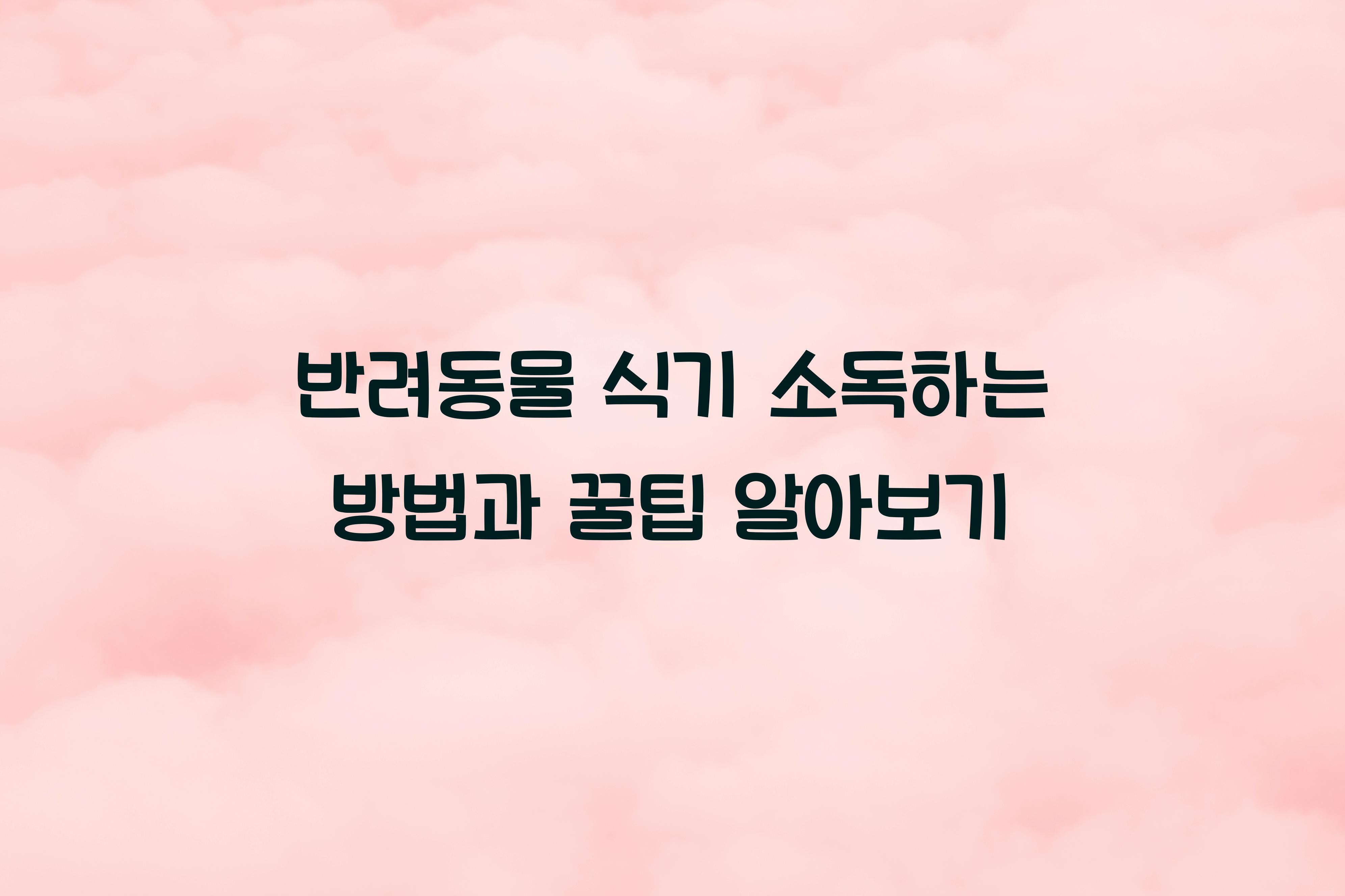 반려동물 식기 소독하는 방법